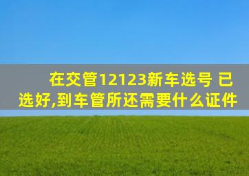 在交管12123新车选号 已选好,到车管所还需要什么证件